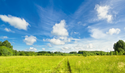 Summer scene. Kaluga region of Russia