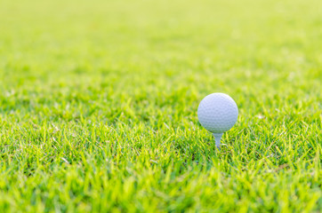 Golf ball on green grass