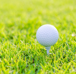 Golf ball on green grass