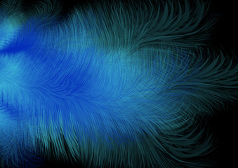 Abstract feather background