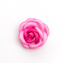 Pink rose isolated on white background