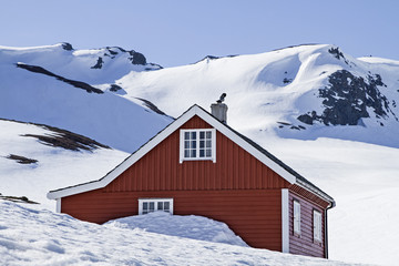 Winter auf dem Vikafjellet