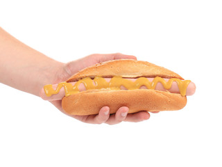 Hand holding tasty hot dog.