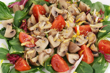 Mushroom salad with tomatoes.