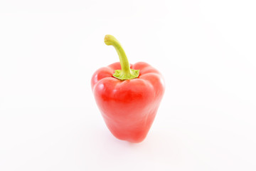 新鮮な野菜