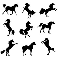 horse silhouettes