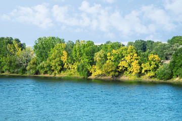 Landscape with forest and river.