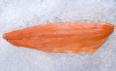 salmon fillet