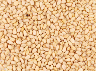 Close up of pine nuts. Macro.