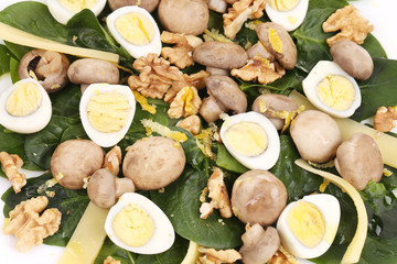 Close up of mushroom salad.