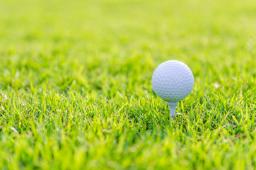 Golf ball on green grass