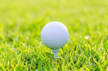 Golf ball on green grass
