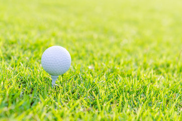 Golf ball on green grass