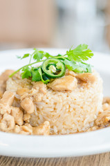 Chicken with brown sauce on rice