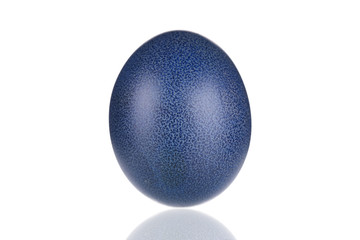 Dark blue easter egg.