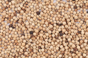 Close up of white pepper.