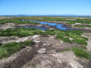 野付半島の湿地