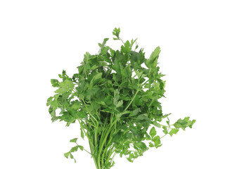 Bunch of parsley on a white.