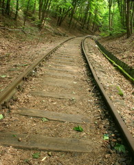 Zakręt w lesie © profit111