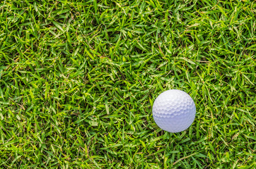 Golf ball on green grass