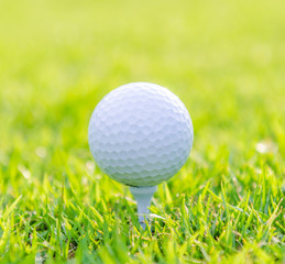 Golf ball on green grass