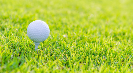 Golf ball on green grass
