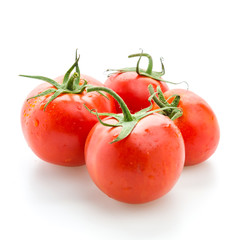 Tomato isolated on white