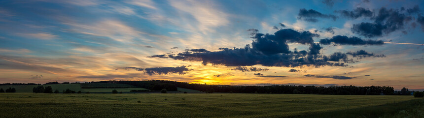 Obraz na płótnie Canvas wheat field on sunset