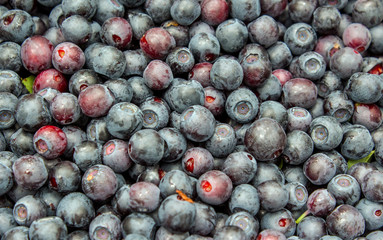 Россыпь черники