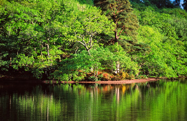 Water reflections