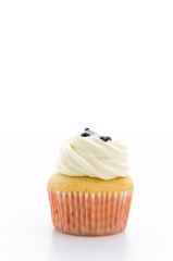 Cupcakes isolated on white background