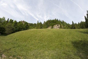 Rezerwat "Wąwóz Homole", Pieniny, Szczawnica, Polska © Piotr Szpakowski