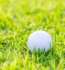 Golf ball on green grass