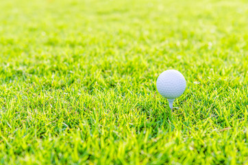 Golf ball on green grass