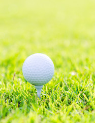 Golf ball on green grass