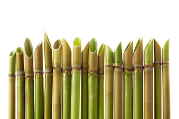 resh Green Bamboo Sticks White Background Studio