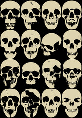 Skull collection