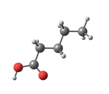 Valeric (pentanoic) acid molecule isolated on white