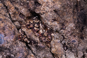surface of the stone.