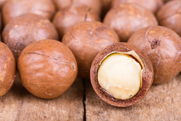 macadamia nuts