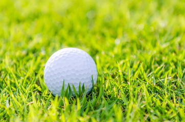 Golf ball on green grass