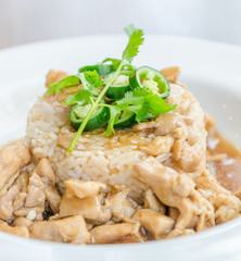 Chicken with brown sauce on rice