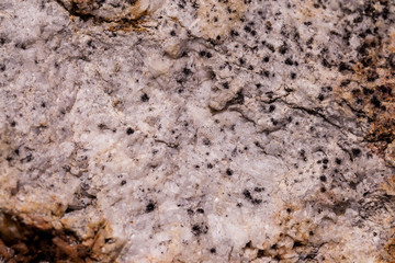 surface of the stone.