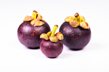 mangoteen isolated on white background.