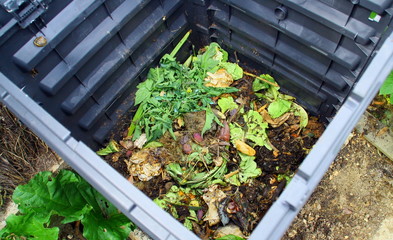composteur plastique, bac de recyclage dans le jardin - 66962114