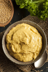 Homemade Spicy Mustard Sauce