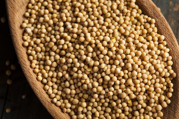 Raw Organic Mustard Seeds
