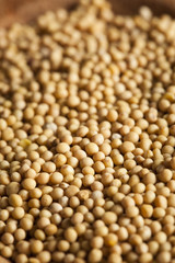 Raw Organic Mustard Seeds