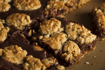 Homemade Chocolate Revel Brownie Bars