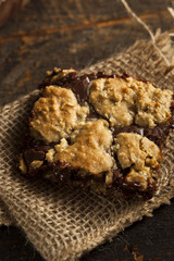 Homemade Chocolate Revel Brownie Bars